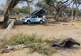 Avis Safari Rental vehicles