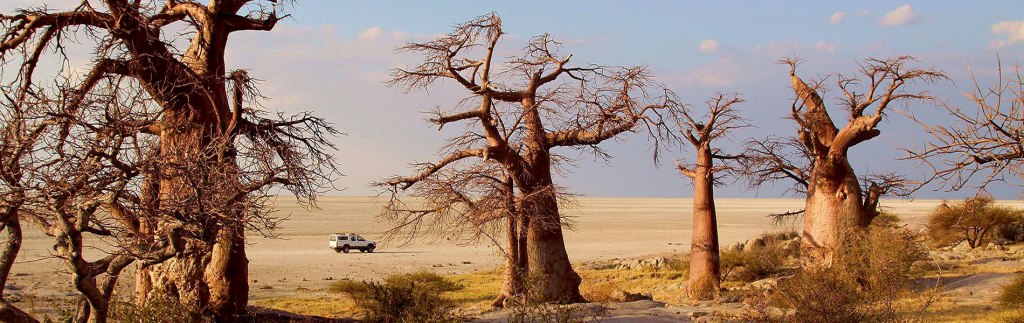 Botswana - Kubu Island