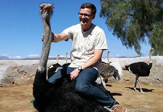Oudtshoorn Ostrich