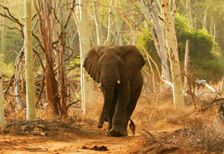 Kruger National Park