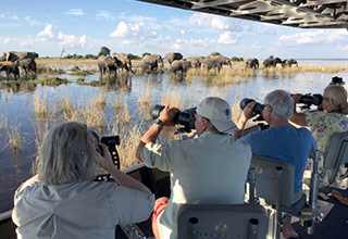 Chobe River photo safari