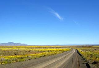 South Africa - Tankwa Karoo